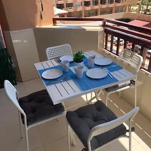Palmeras Apartamento